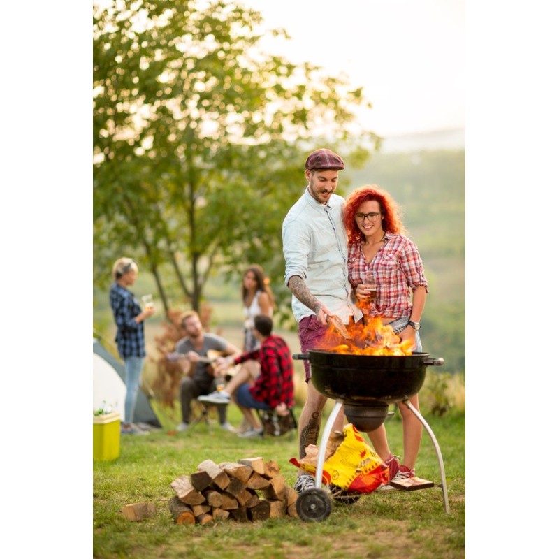 Palette de 1st de bois de chauffage spécial barbecue - sec séchoirs - prêt à l'emploi - mélange feuillus