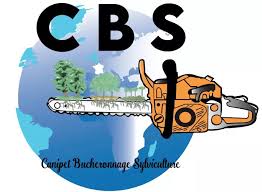 CBS CHAUFFE BOIS SERVICES